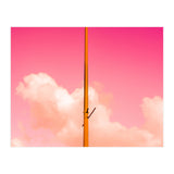 The Pink Half (Print Only) thumbnail