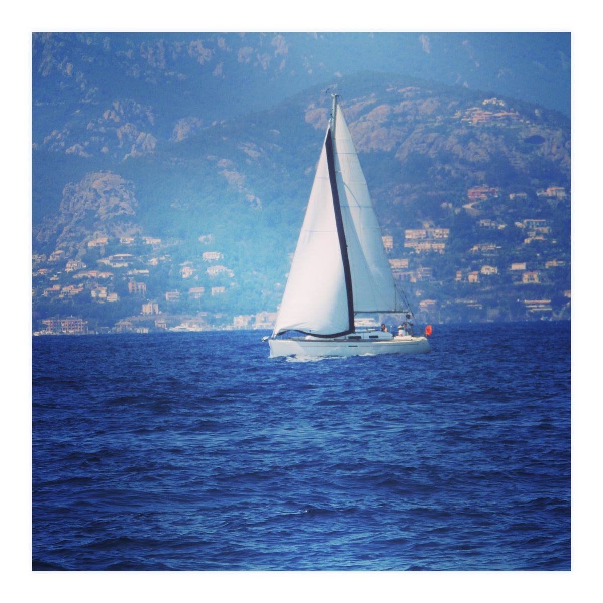 White sailed yacht (Print Only)