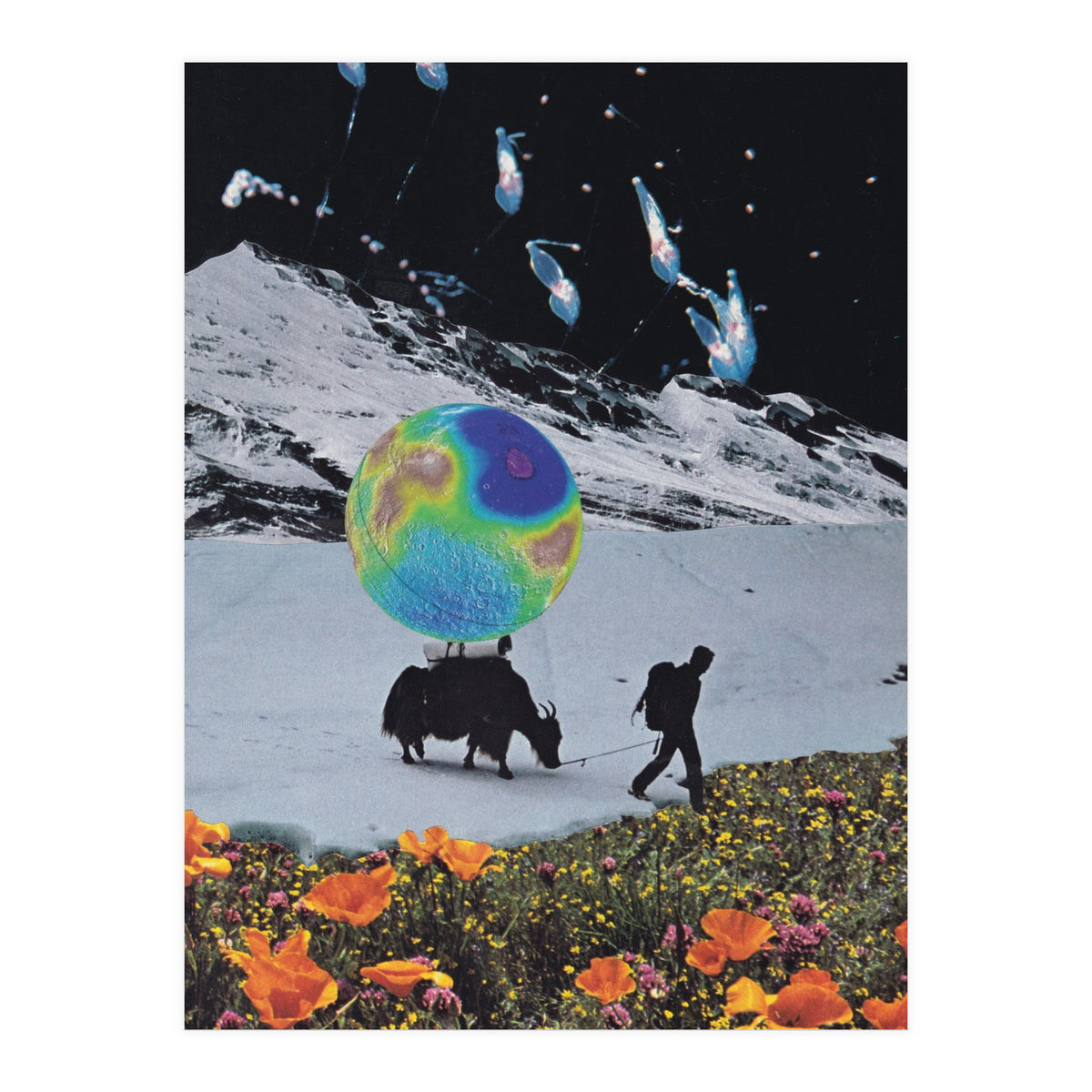 The Last Ice Age (Print Only)