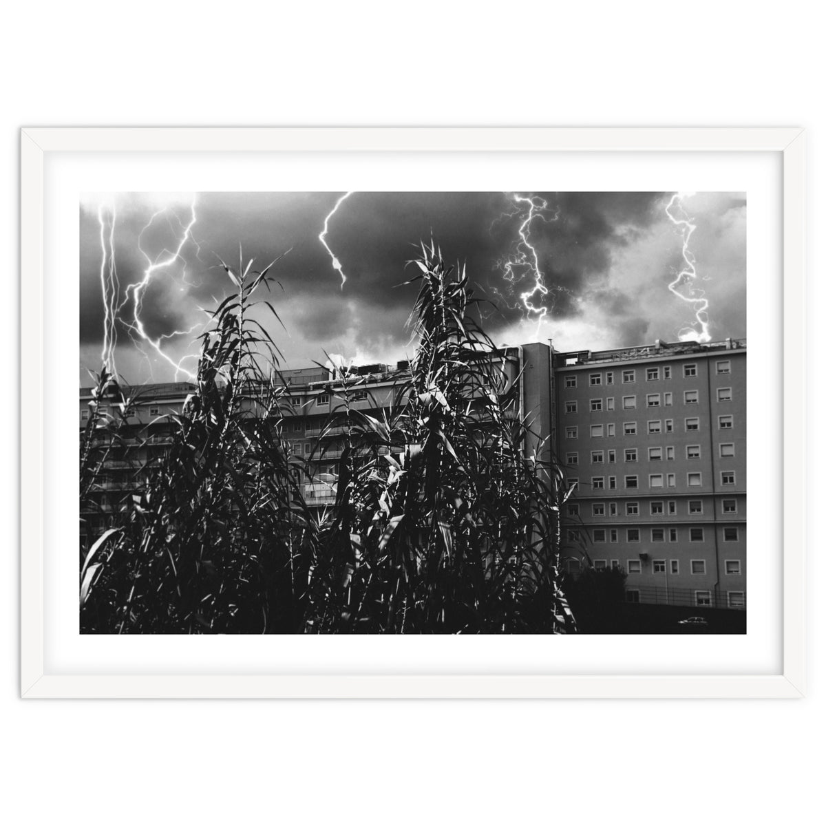 Thunderstorm in Tivoli