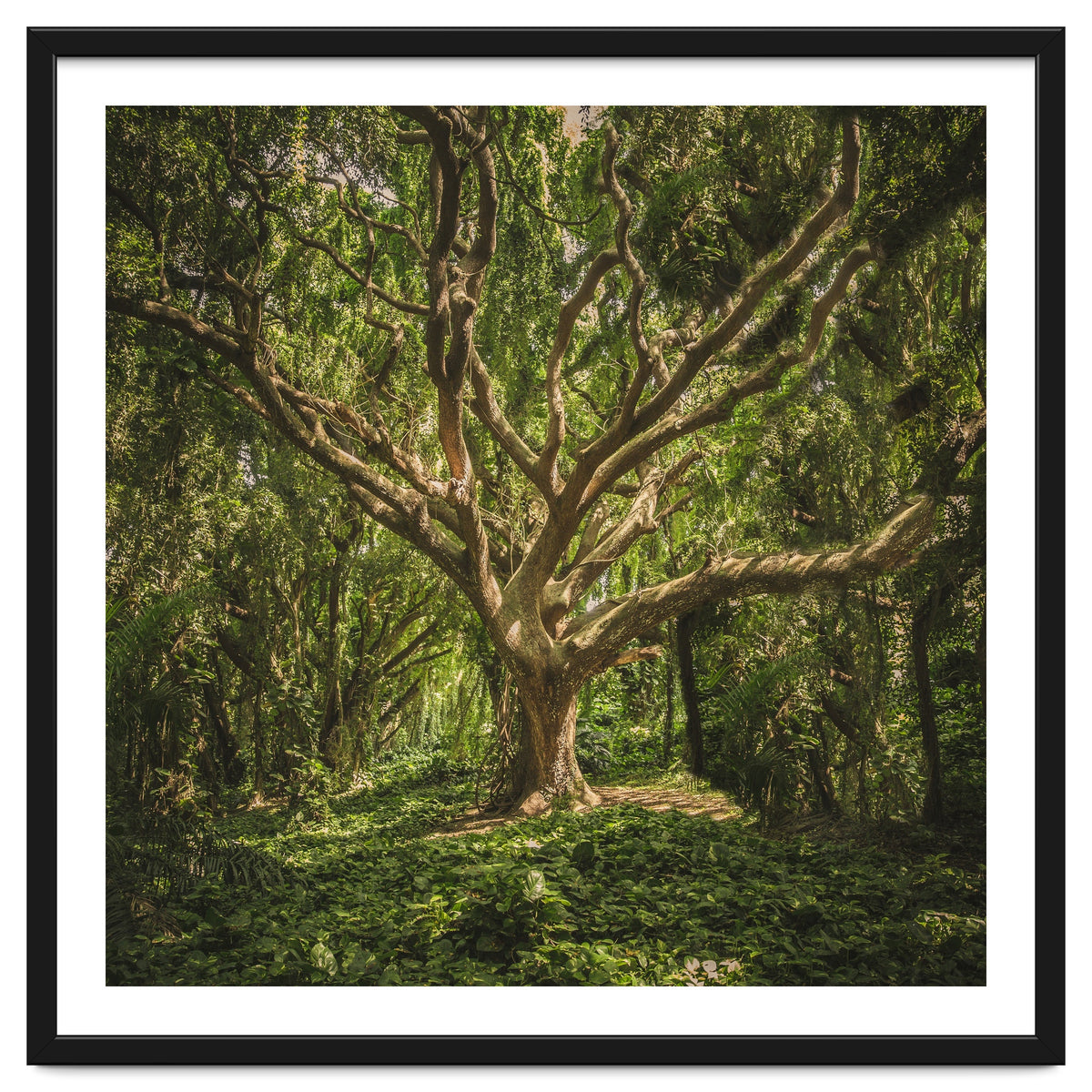 Spirits inside the wood