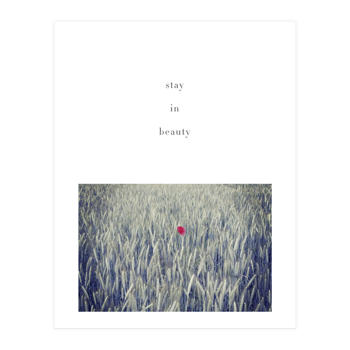 stay in nature (Print Only)