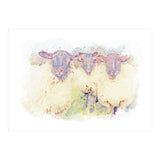 Inquisitive Nature (Print Only) thumbnail