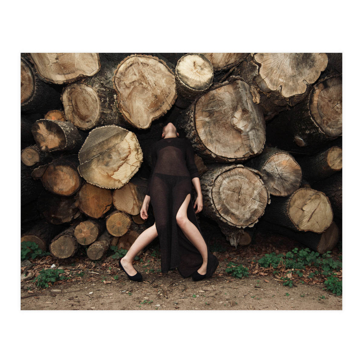 Slow Dancing Society (Print Only)