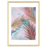 Palms + Sky