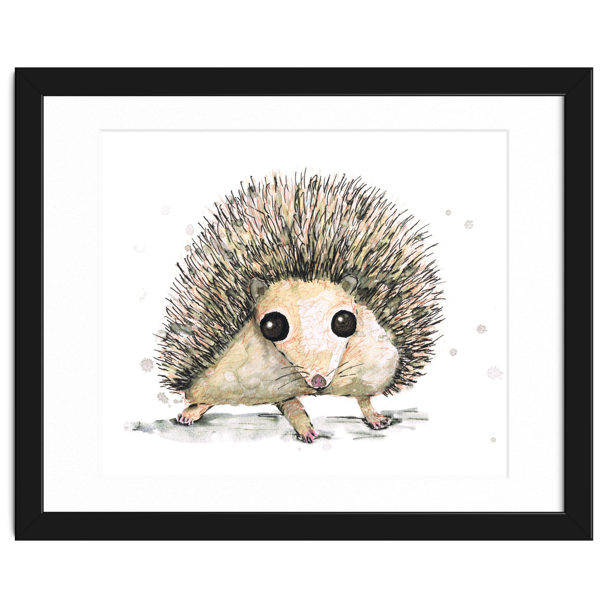 Hedgehog