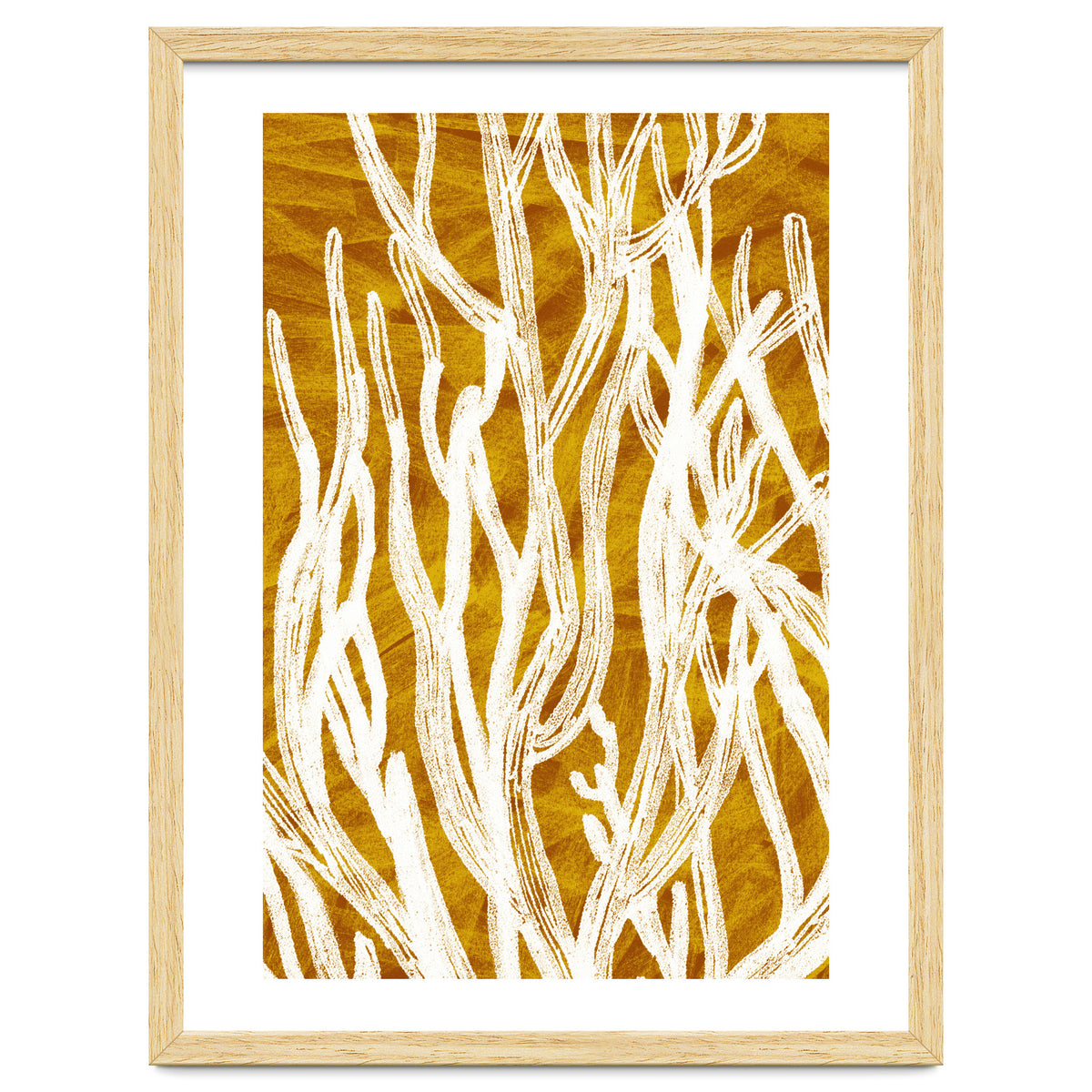 Desert Colours Collection 1