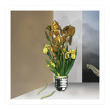 Das Licht Der Pflanze (Print Only) thumbnail