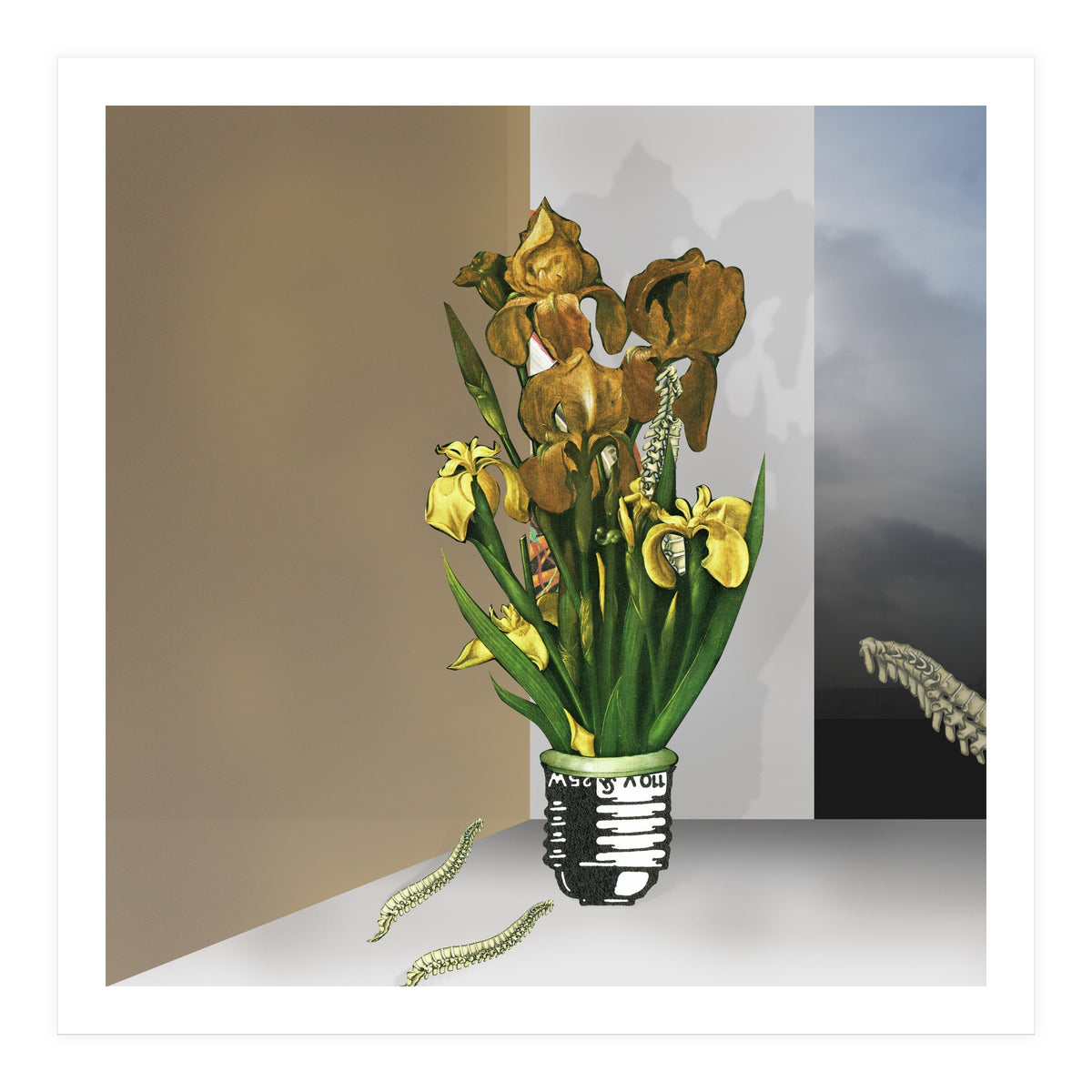 Das Licht Der Pflanze (Print Only)