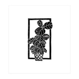Fiddle Leaf Fig (Print Only) thumbnail