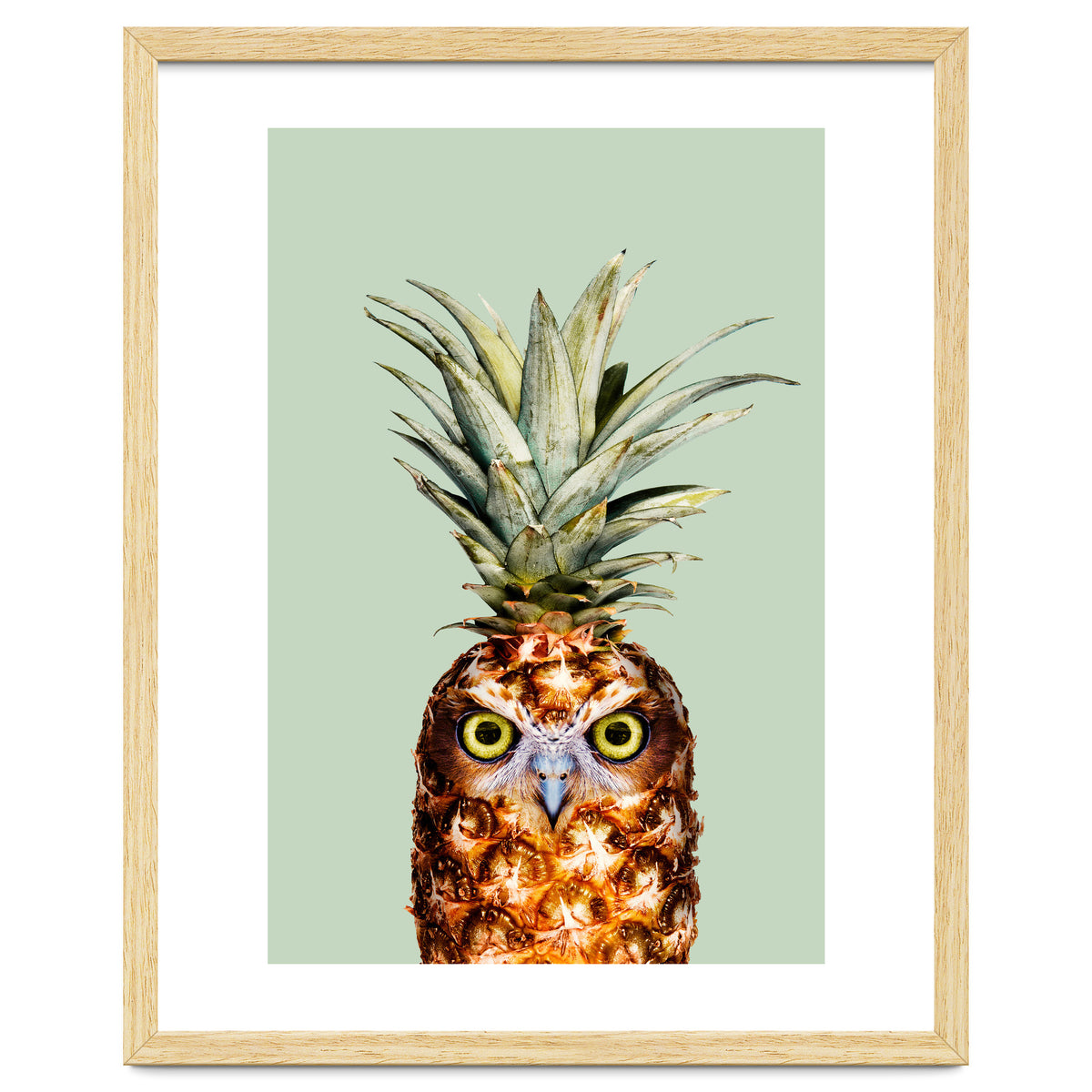 Pineapple Owl