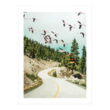 Flamingo Flight (Print Only) thumbnail