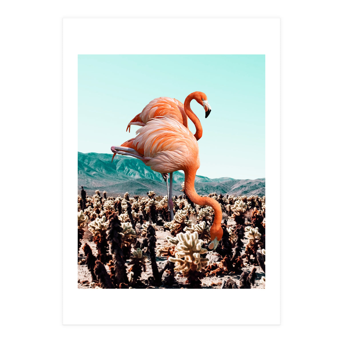 Flamingos In The Desert (Print Only)