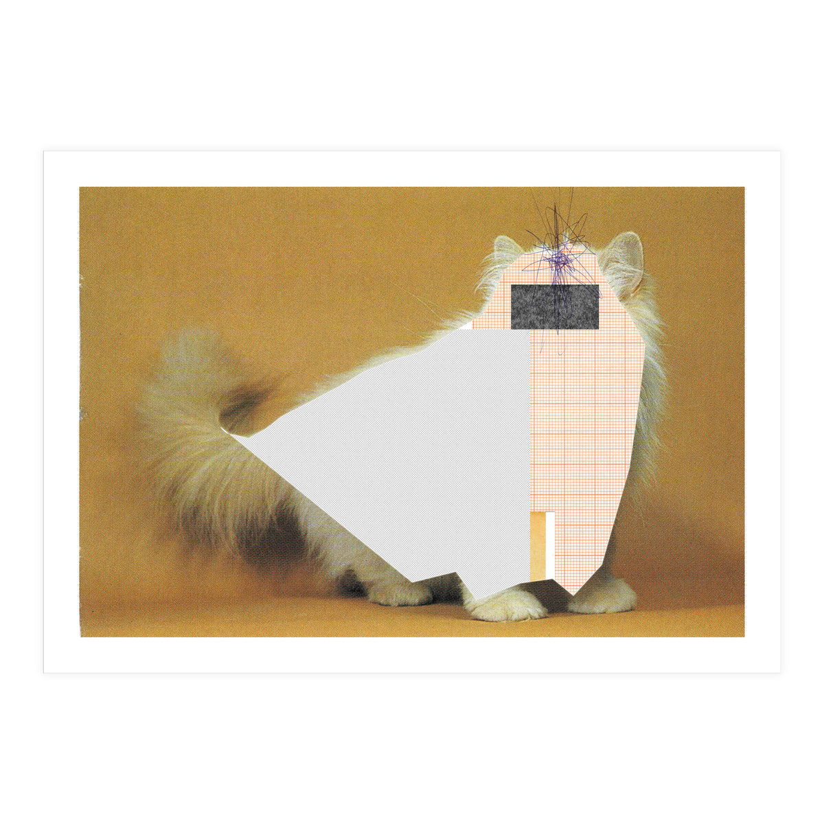 Content Of The Cat 1 (Print Only)