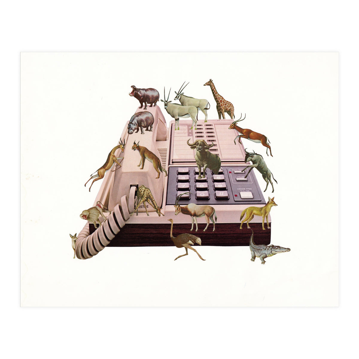 Wild Office (Print Only)