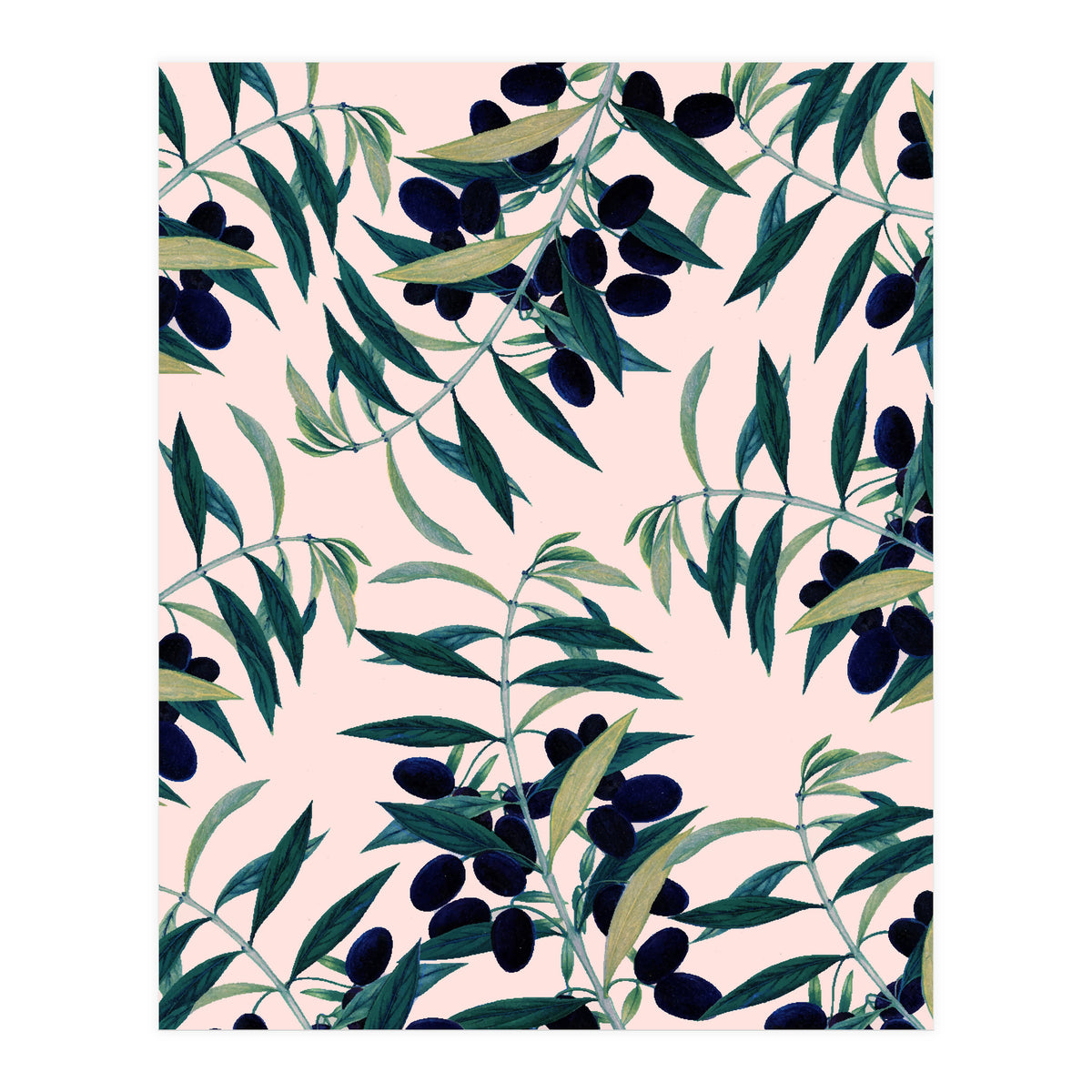 Olive Branch Pattern (Print Only)