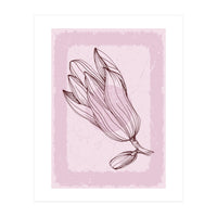 Magnolia - Minimalist Garden Leaves (Print Only)