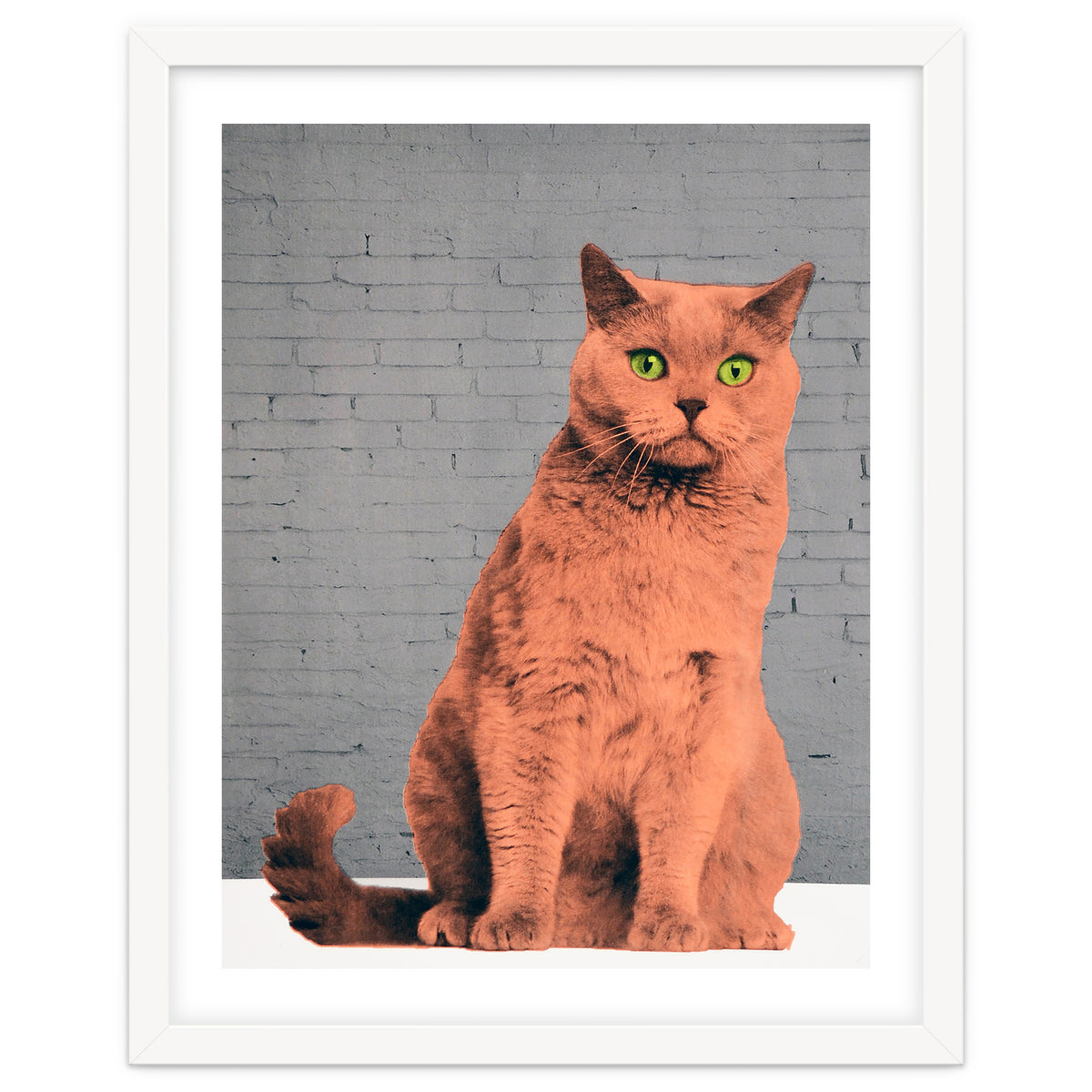 Everybody Wants To Be A Cat