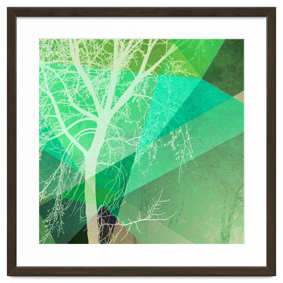 P22-B3 Trees And Triangles