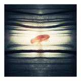 Glow (Print Only) thumbnail