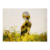 Yellow Meadow (Print Only) thumbnail