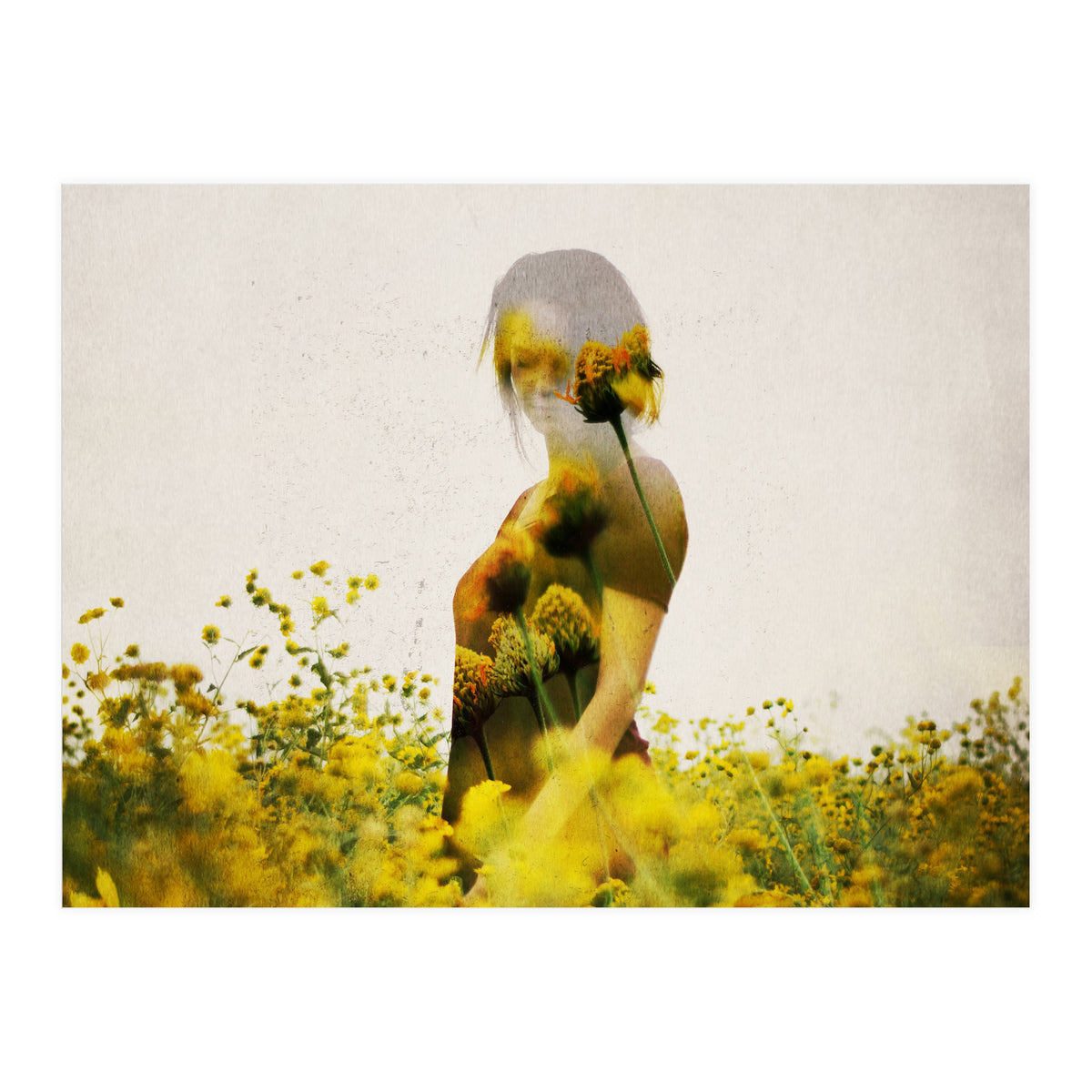 Yellow Meadow (Print Only)