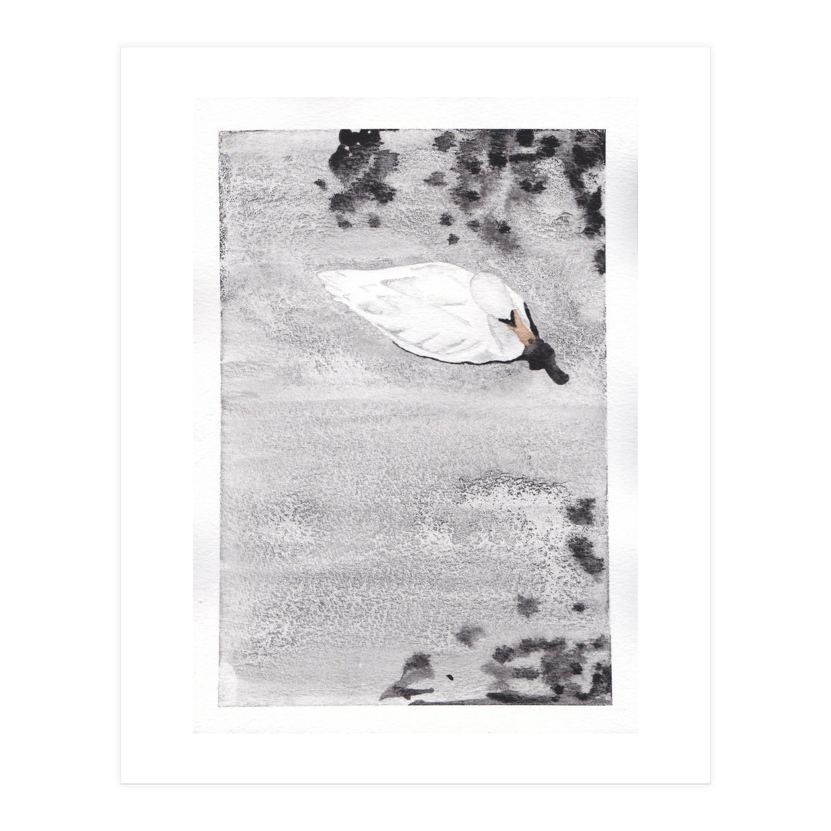 Swan (Print Only)