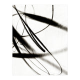 Alento2 (Print Only) thumbnail