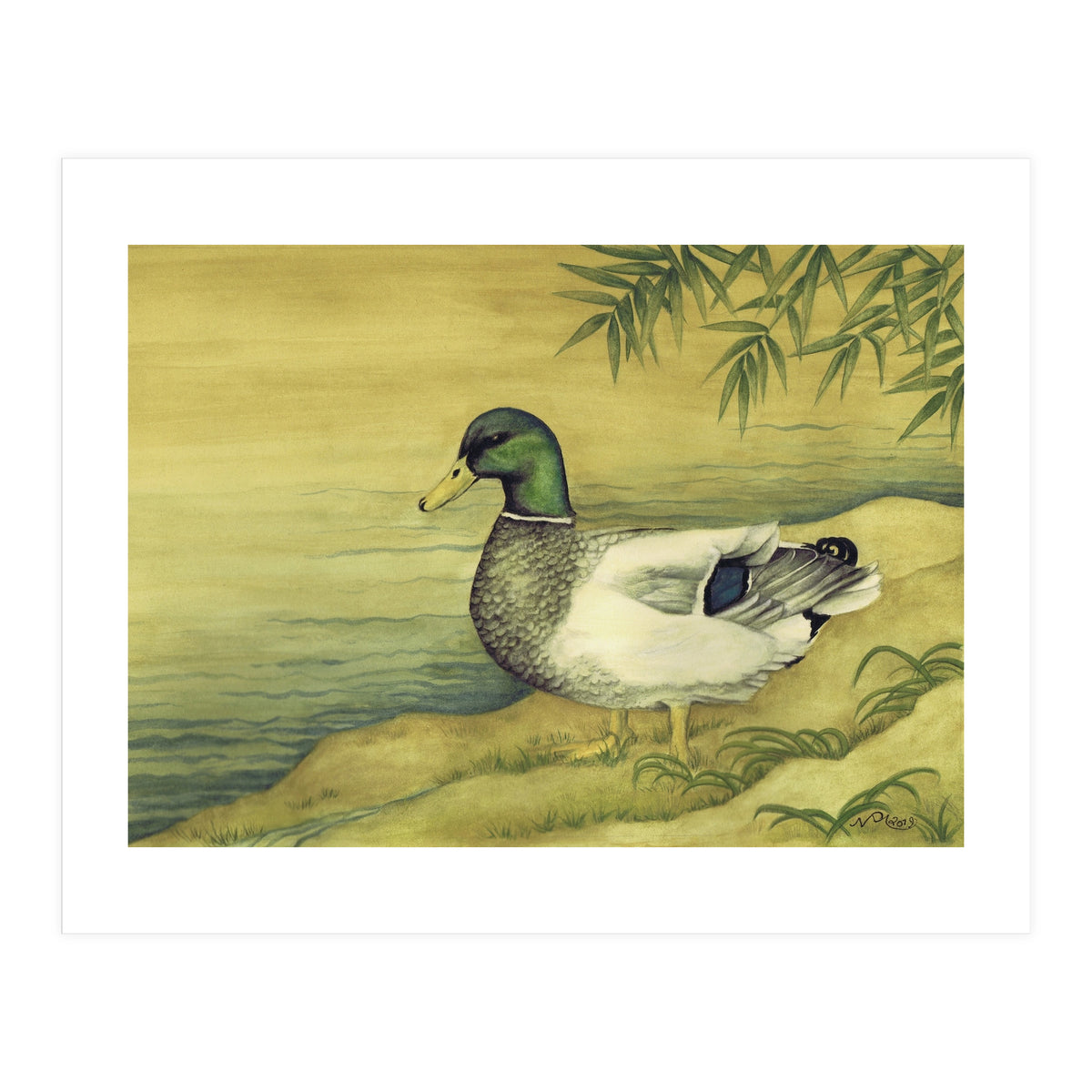 Mallard (Print Only)