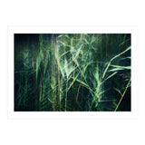 green green grass (Print Only) thumbnail