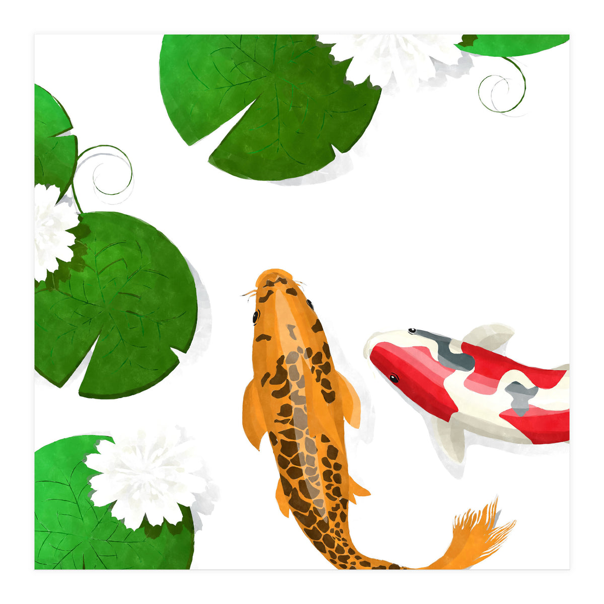 Koi fish background (Print Only)