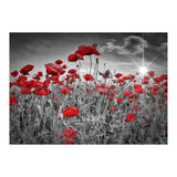 Idyllic Field of Poppies with Sun (Print Only) thumbnail