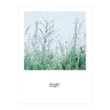 Friendly escape - Nature Photography - (Print Only) thumbnail