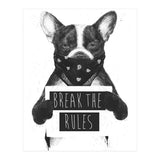 Rebel Dog (Print Only) thumbnail