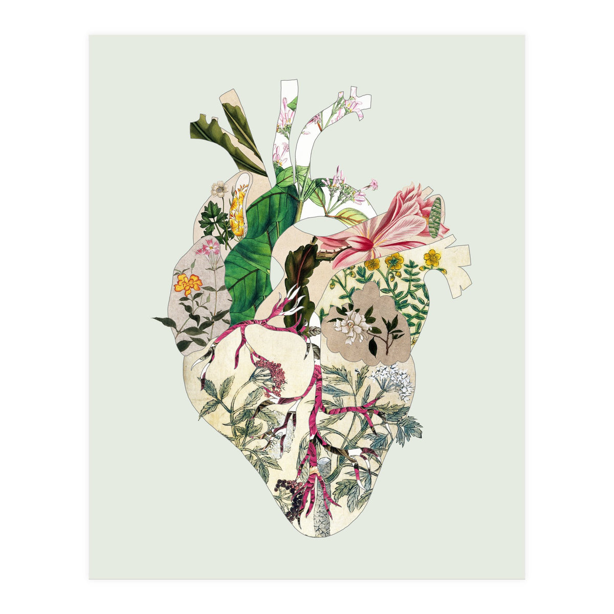 Vintage Botanical Heart - Green (Print Only)