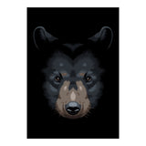 Shadows grizzly (Print Only) thumbnail