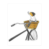 Dog In Basket (Print Only) thumbnail