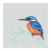 The kingfisher (Print Only)
