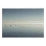 The Salton Sea (Print Only) thumbnail