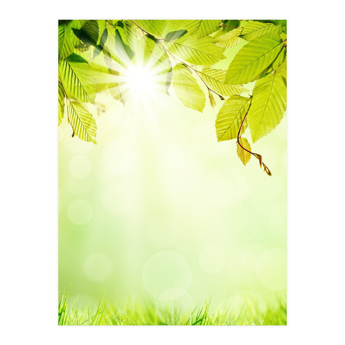 GREEN NATURE (Print Only)