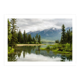 Nature (Print Only) thumbnail