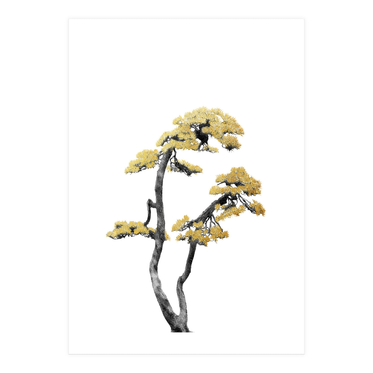 Bonsai Tree 06 (Print Only)