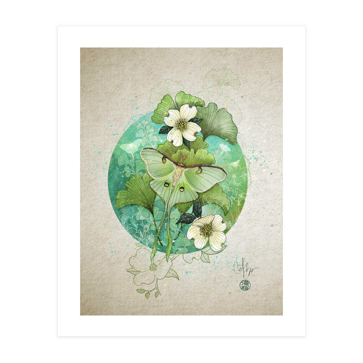 Luna Moth  (Print Only)