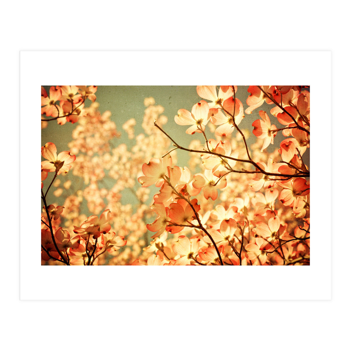 Vintage Pink (Print Only)