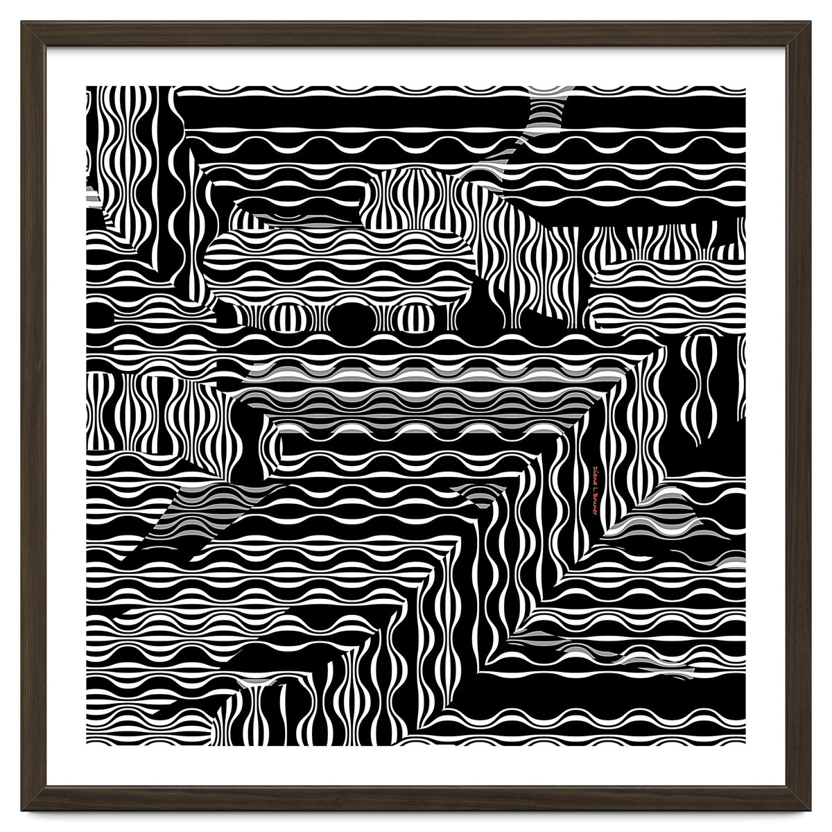 BLACK AND WHITE EXOTIC