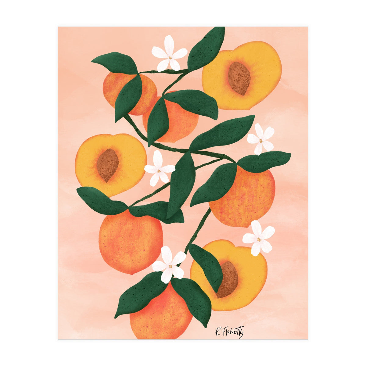 Summer Peaches (Print Only)