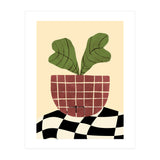 Begonia (Print Only) thumbnail