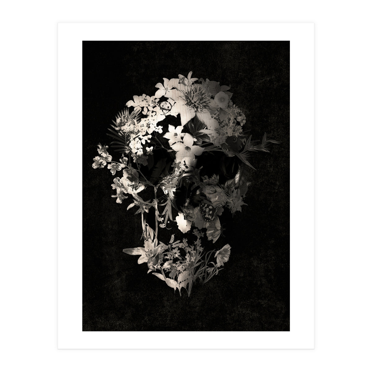 Spring Skull  (Print Only)