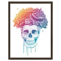 Colorful Skull