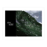 stay wild  (Print Only) thumbnail